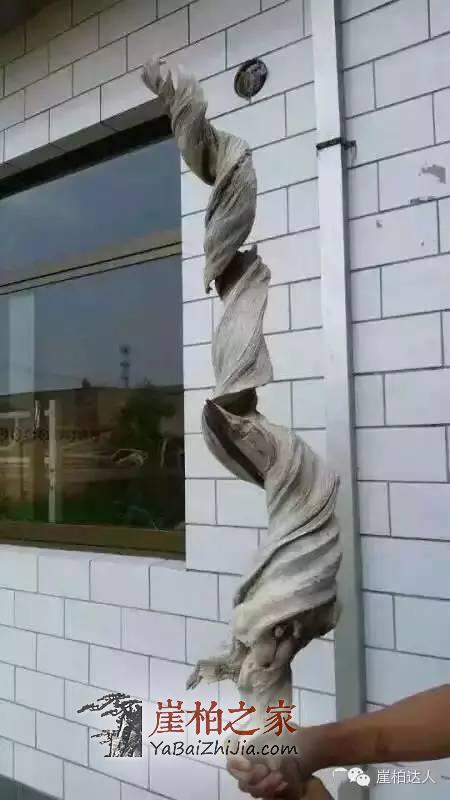 崖柏料型千奇百怪 哪款是你爱?-1