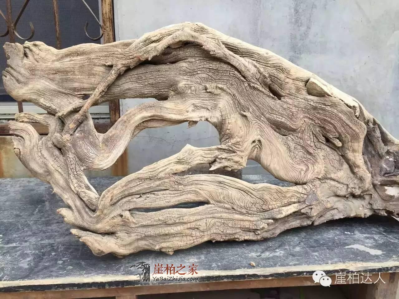 崖柏料型千奇百怪 哪款是你爱?-3