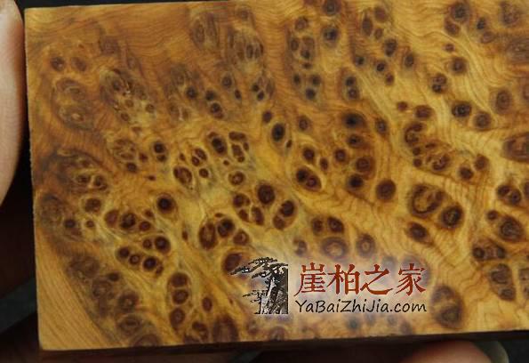 崖柏种类那么多 论哪里的崖柏味道好闻?-1