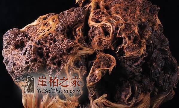 崖柏种类那么多 论哪里的崖柏味道好闻?-2