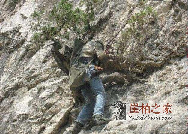 崖柏毛料为什么比成品好卖?听听专家怎么说-1