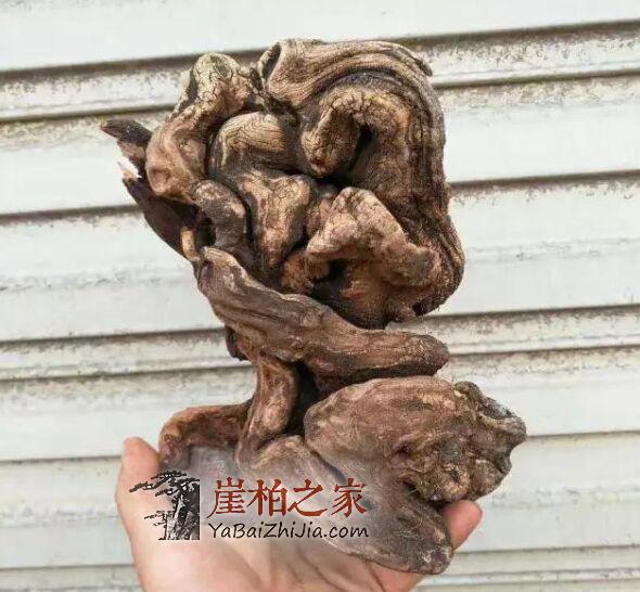 崖柏毛料为什么比成品好卖?听听专家怎么说-3
