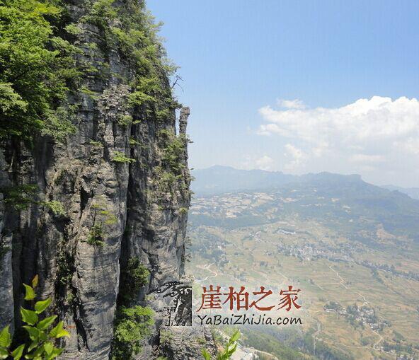 如何鉴别崖柏手串的还坏,看小编给你支招-1