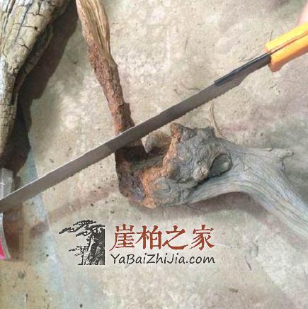 看民间高手如何把丑陋的崖柏根变成精美的手把件的?-3