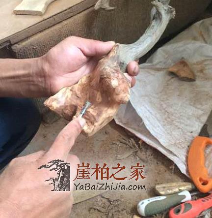 看民间高手如何把丑陋的崖柏根变成精美的手把件的?-6