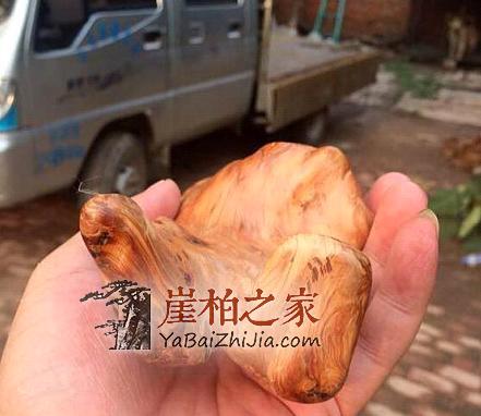 看民间高手如何把丑陋的崖柏根变成精美的手把件的?-12