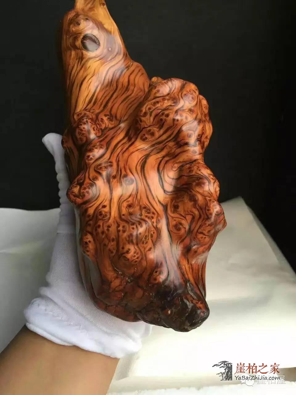 如何挑选瘤花崖柏?瘤花崖柏包浆效果和什么有关-3