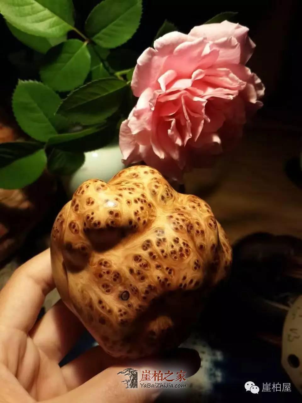 如何挑选瘤花崖柏?瘤花崖柏包浆效果和什么有关-2