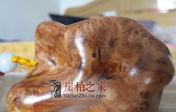 如何挑选崖柏手把件,小编有绝招-3