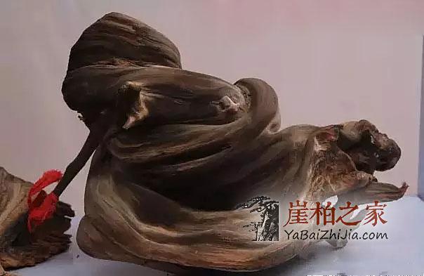 崖柏的“油性”决定品质,高油性是崖柏价值的基础-2