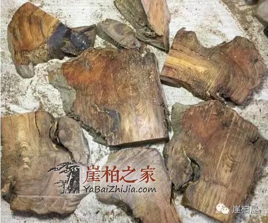 崖柏黑油料是怎么形成的?崖柏陈化料切下去后冒出黑油-3