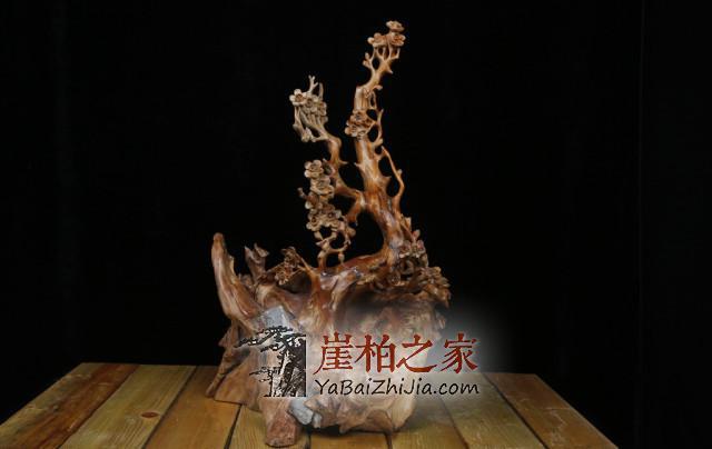 盘玩崖柏不是一朝一夕的事,贵在坚持!-3