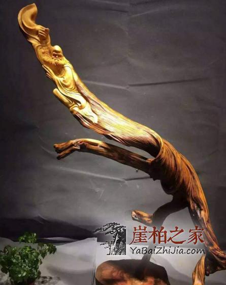 为什么说沉香救命、崖柏养命”-2