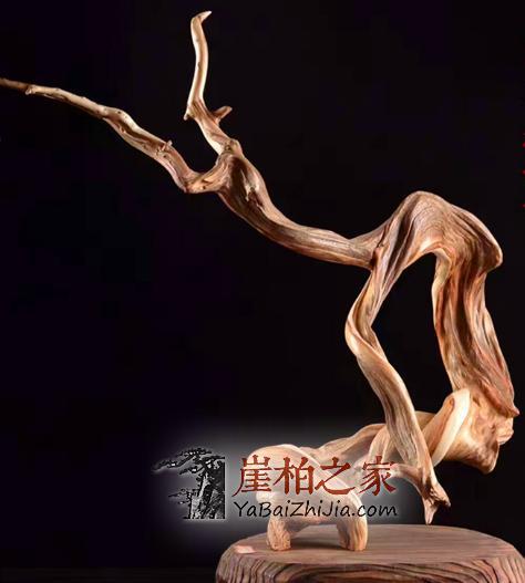 女人为什么要嫁给爱崖柏的男人?-5
