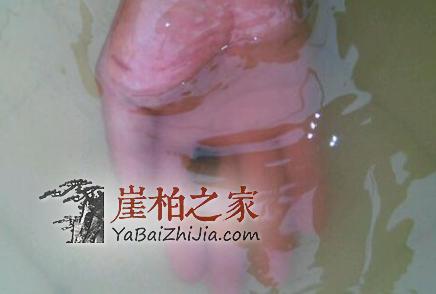 沉水实验证明:崖柏好坏不能按沉不沉水定!-7