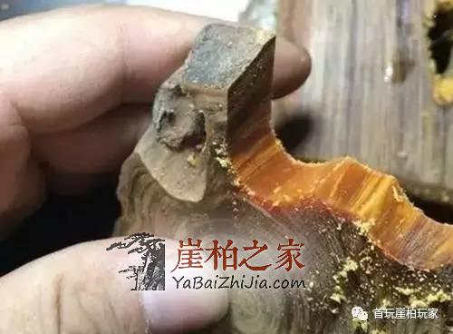 崖柏料子如何挑选?崖柏油墩子有哪些特点?-1