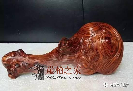 崖柏怎么玩?四种玩法让你玩透崖柏-1