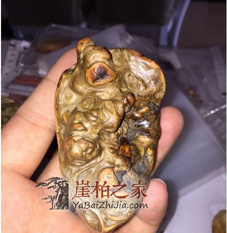 靠闻香味分辨崖柏，这个方法靠谱吗？-3