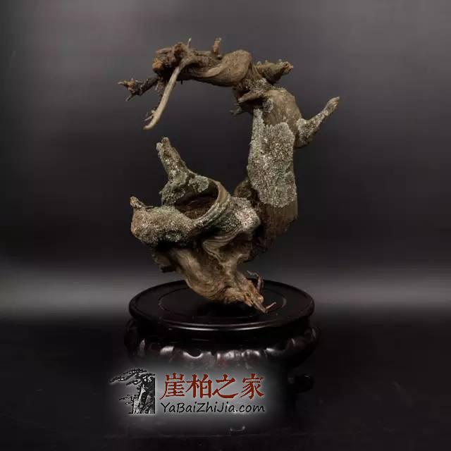 崖柏不能瞎玩,必须具备下面这些条件-5