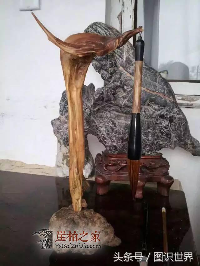 崖柏收藏的顶级品种是什么?理性收藏才是玩崖柏的王道-1