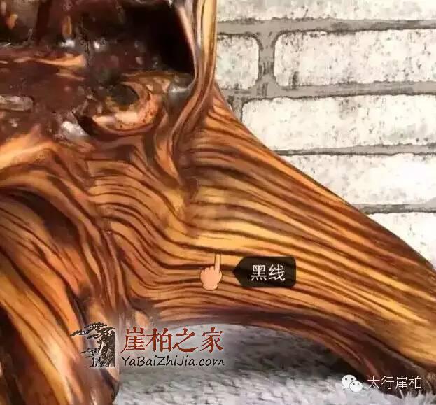 史上全的崖柏纹路分类图片 干货速藏-6