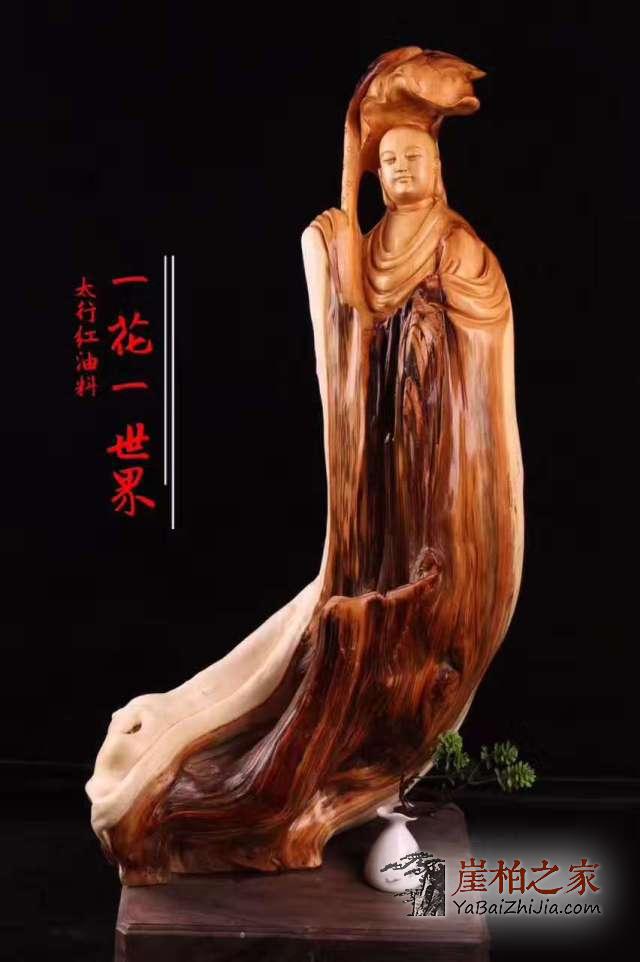 崖柏不可不说的八大秘密!-1