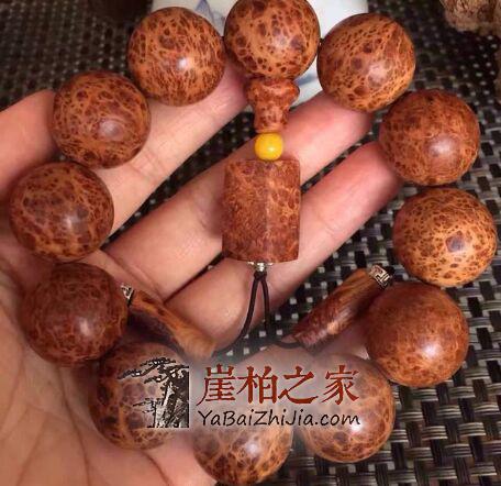分不清崖柏,坡柏,地柏,还玩什么崖柏?-7