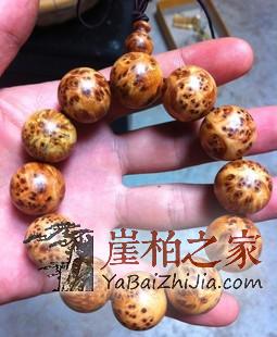 认识崖柏,爱上崖柏,你懂的!-1