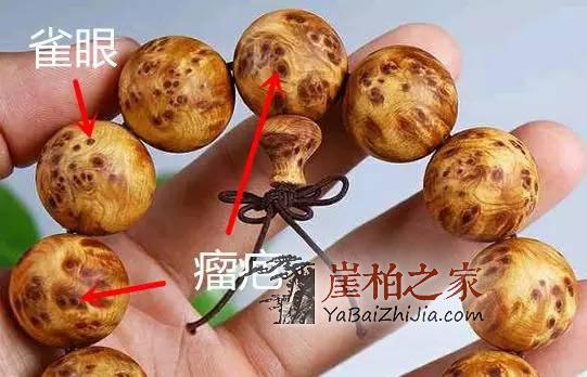 认识崖柏,爱上崖柏,你懂的!-3