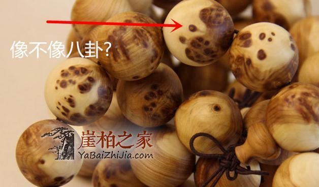 认识崖柏,爱上崖柏,你懂的!-8