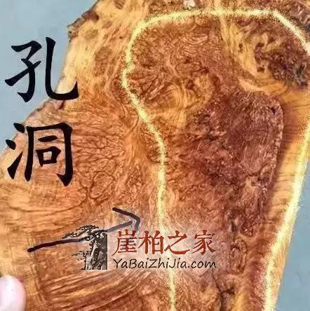 崖柏中的“贵族”:蚂蚁腿大曝光!-6