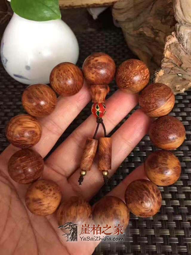 玩崖柏要掌握“七不要”,毕竟适合自己的才是好的-1