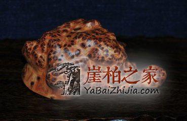 玩崖柏要掌握“七不要”,毕竟适合自己的才是好的-3