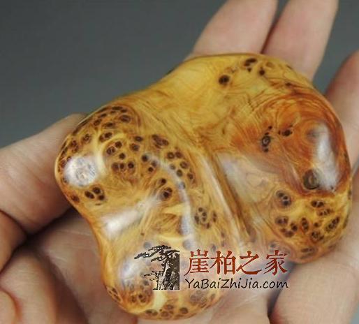 崖柏如此火热,究竟什么样的崖柏料才值钱呢?-2