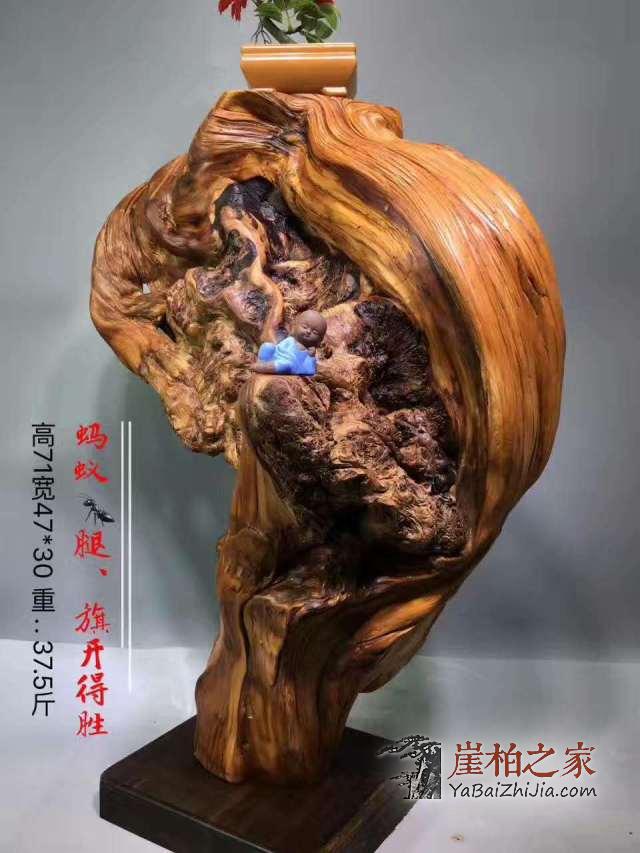 崖柏文化:崖柏之精气神!-3