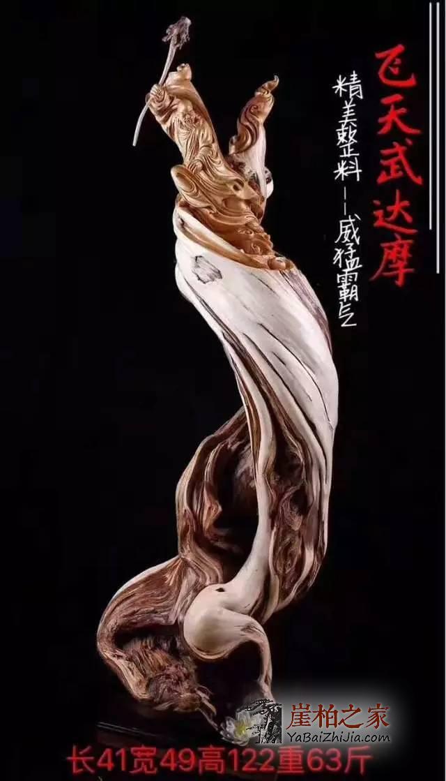 崖柏身上的一块“疤”竟然如此厉害!-3