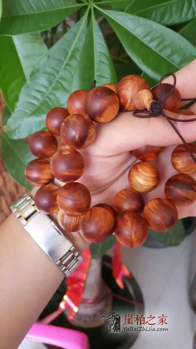 如何区分崖柏红油黑油?-1