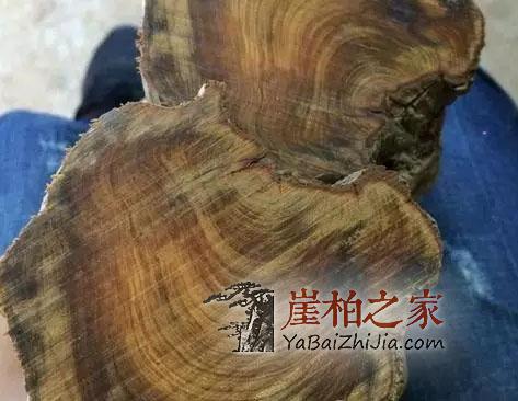 如何区分崖柏红油黑油?-3
