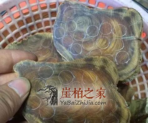 如何区分崖柏红油黑油?-2