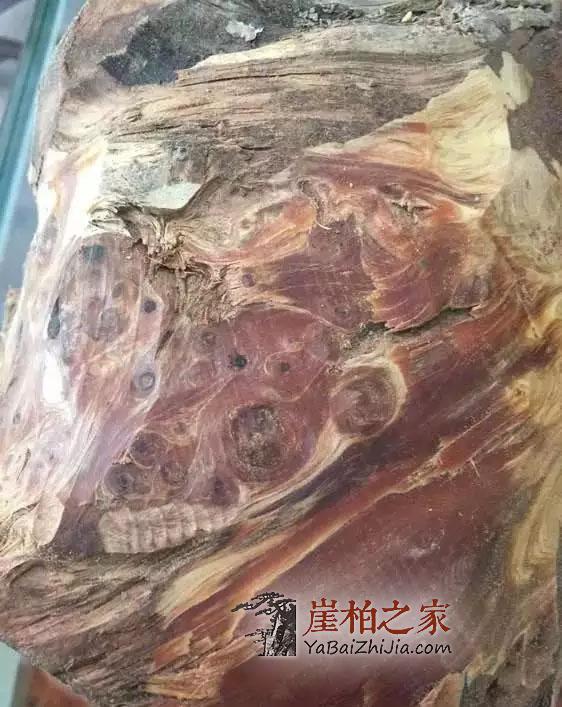 如何区分崖柏红油黑油?-5