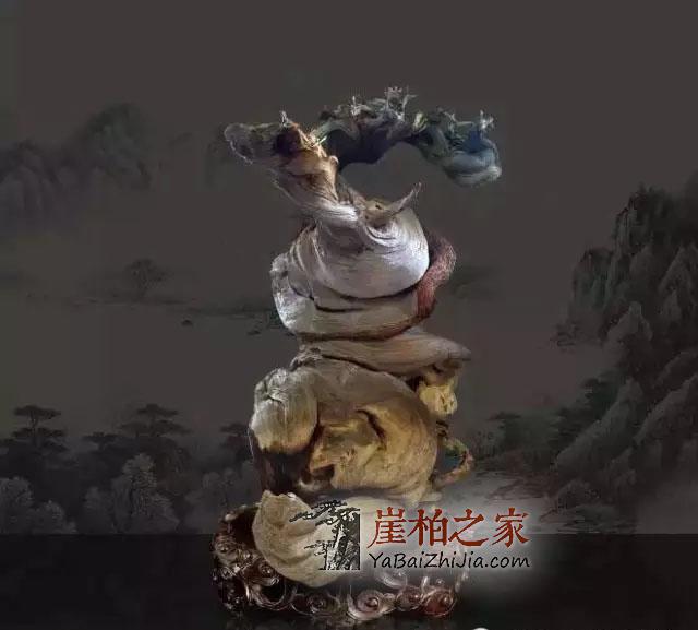 崖柏:只有喜欢、没有高下-1