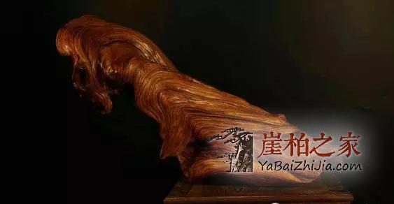 崖柏:只有喜欢、没有高下-2