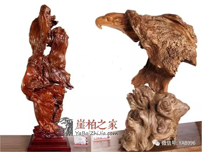 崖柏市场要变天了?崖柏市场行情走向浅析-1