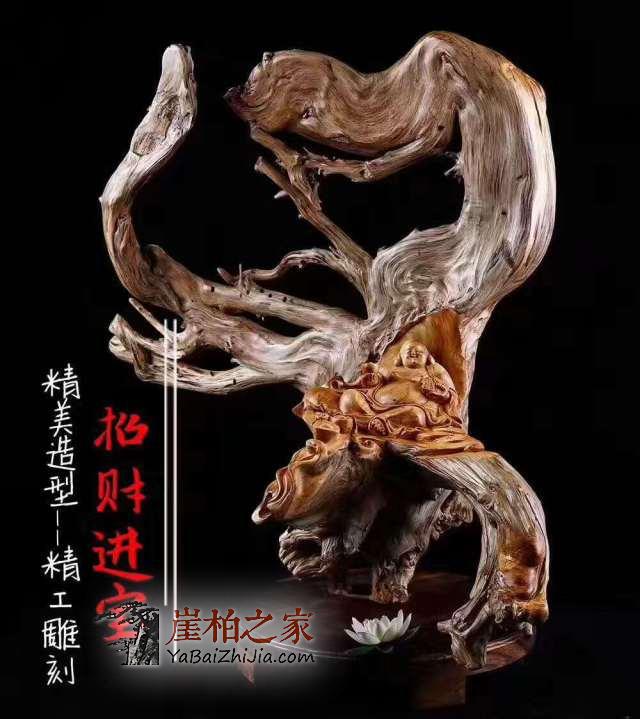 崖柏收藏:求精不求量-1