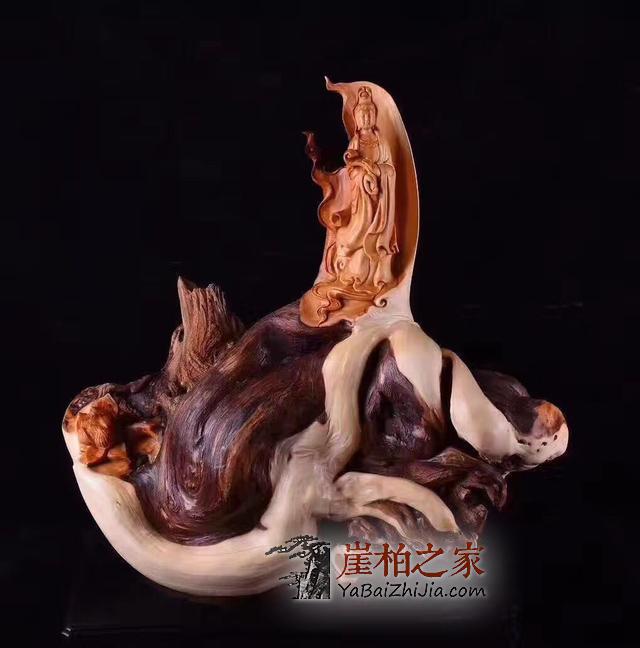 崖柏收藏的八字珍言,柏友们必看!-1