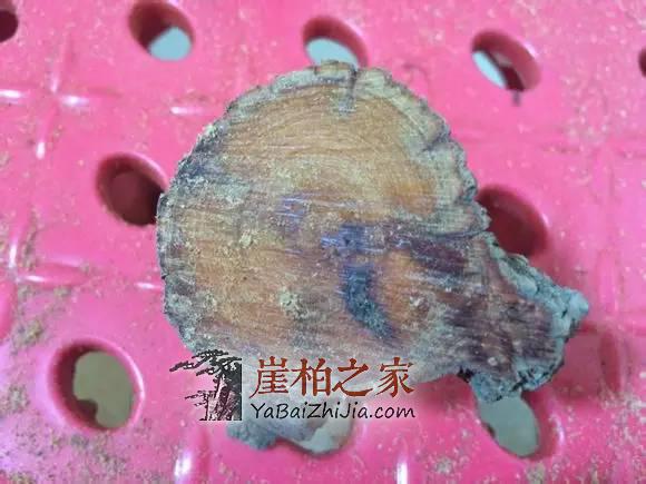 揭穿那些忽悠你的崖柏骗局与术语,做个有判断力的玩家-7
