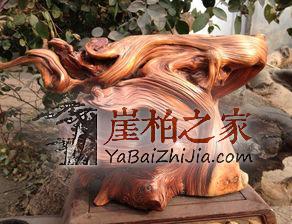崖柏即将消失,这不是危言耸听!-3