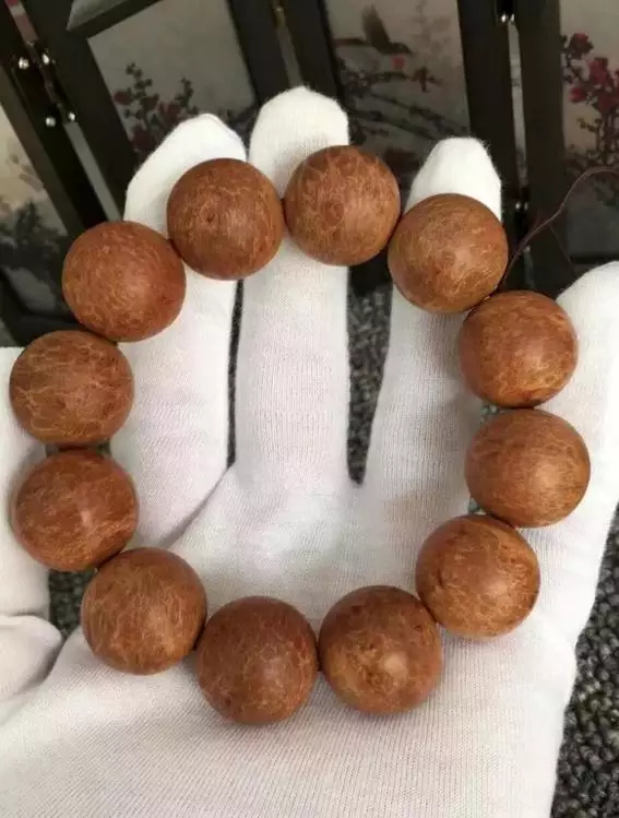 直击崖柏!带你了解什么才是正宗的太行崖柏!-9