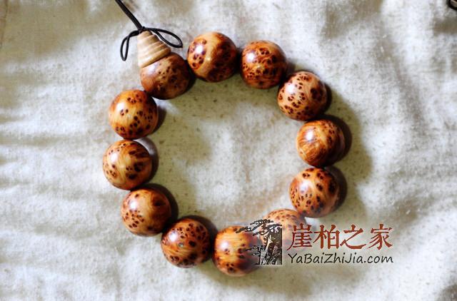 你了解崖柏珠子的采集加工车制过程吗,和小编一起看看吧-7