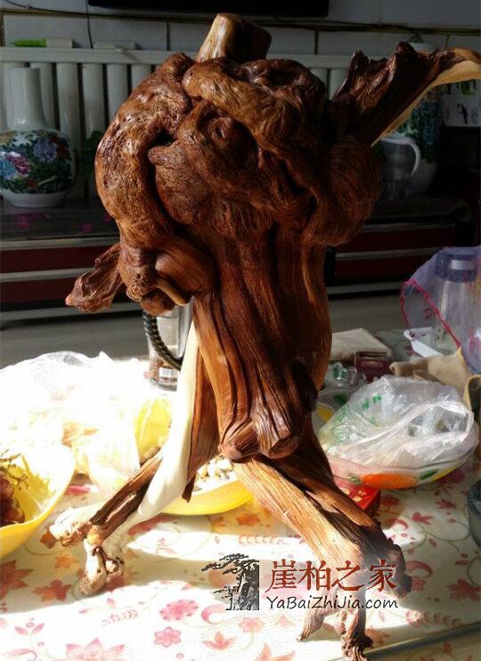 浅析崖柏极品蚂蚁腿(纯干货)-2